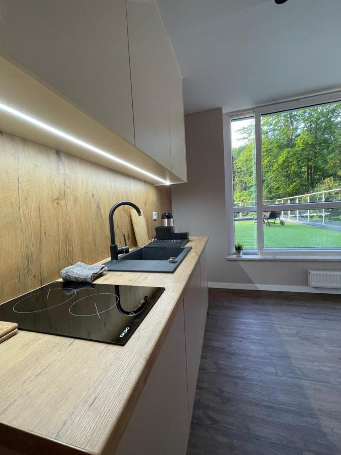 Apartament Kurort Kozubnik - Taras Nad Potokiem Porąbka Dış mekan fotoğraf