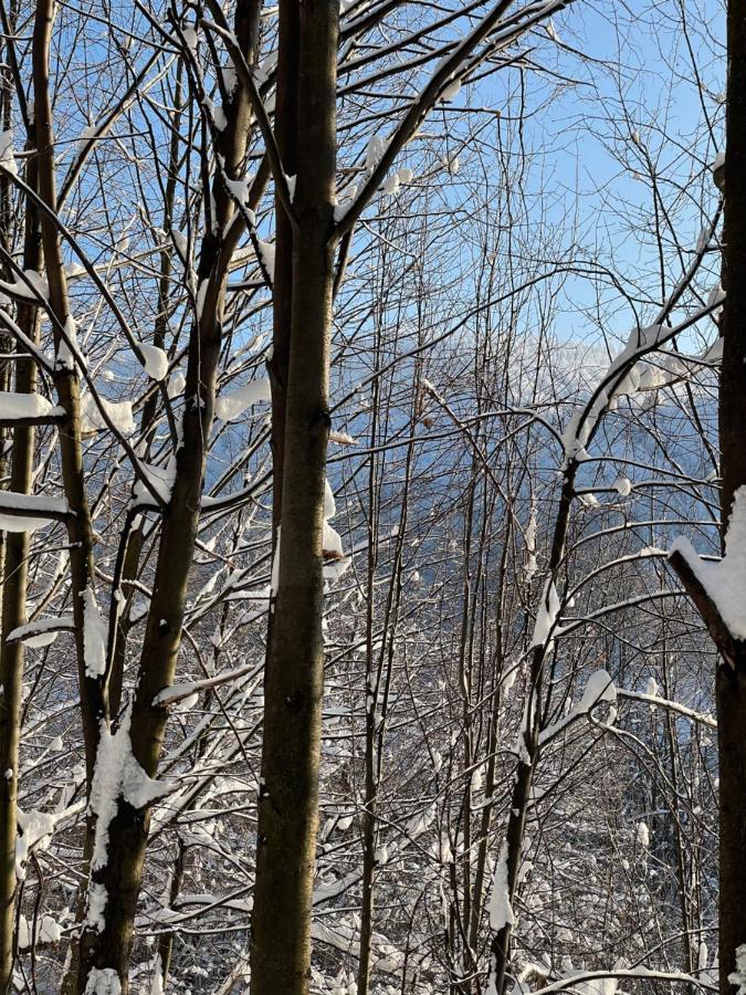 Apartament Kurort Kozubnik - Taras Nad Potokiem Porąbka Dış mekan fotoğraf