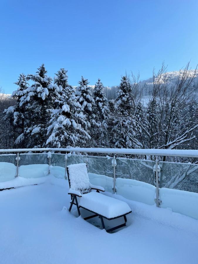 Apartament Kurort Kozubnik - Taras Nad Potokiem Porąbka Dış mekan fotoğraf