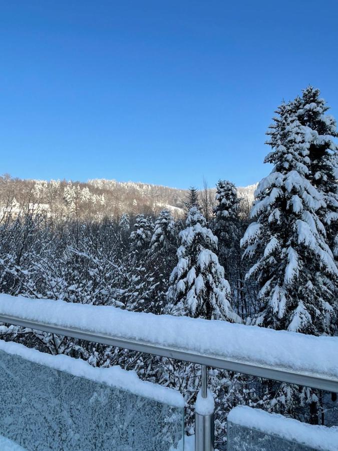 Apartament Kurort Kozubnik - Taras Nad Potokiem Porąbka Dış mekan fotoğraf