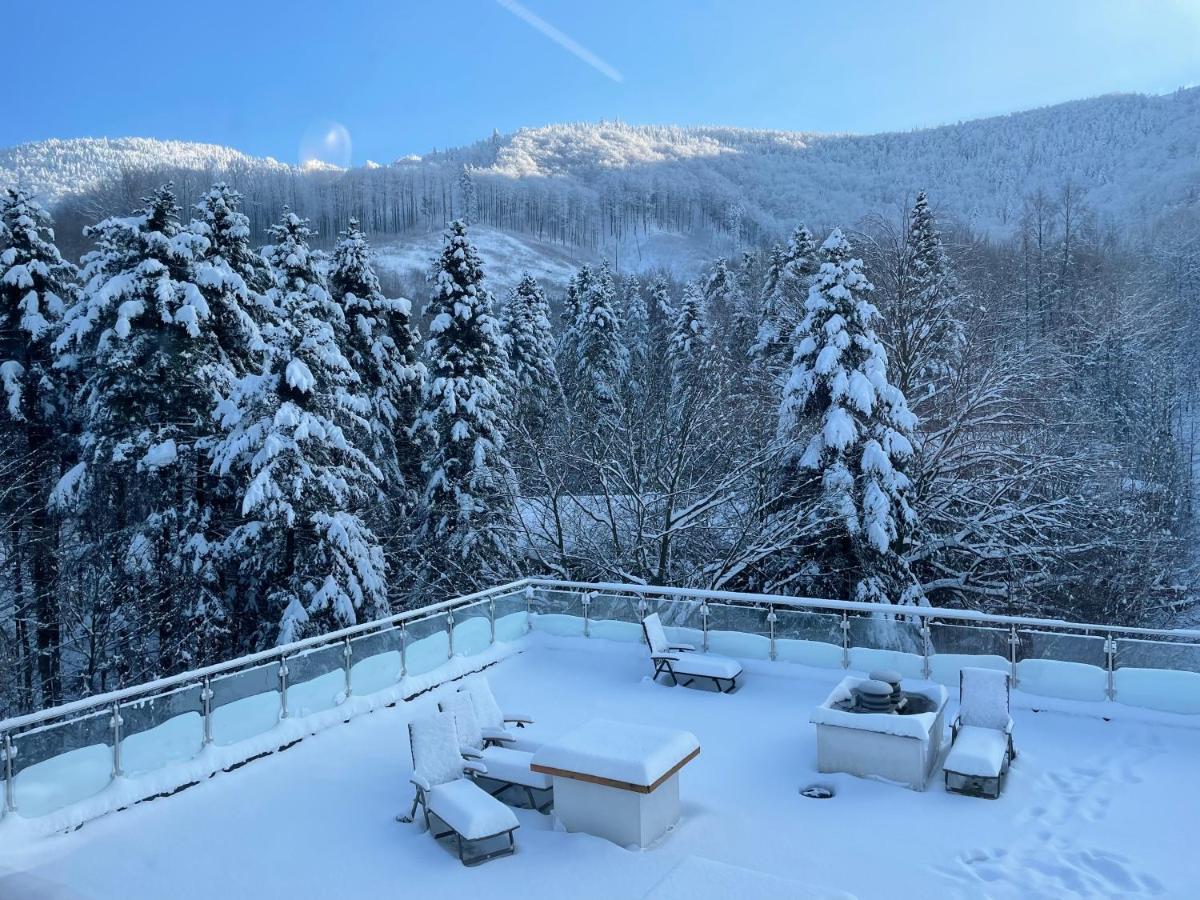 Apartament Kurort Kozubnik - Taras Nad Potokiem Porąbka Dış mekan fotoğraf